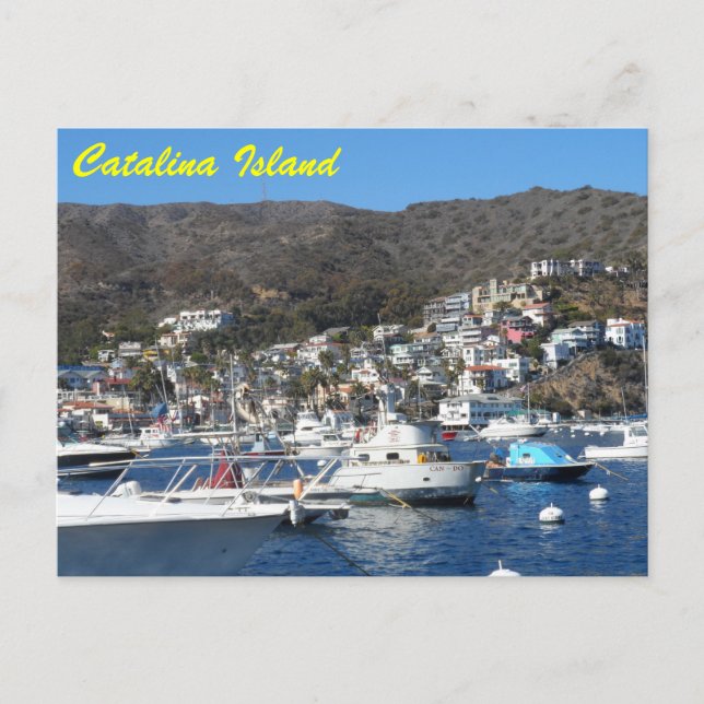 Catalina, California Postcard (Front)