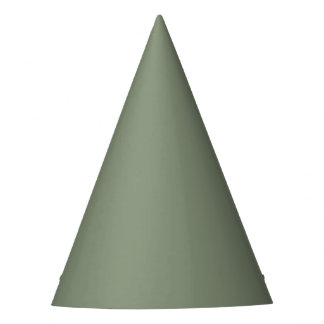 Catalina Green Party Hat