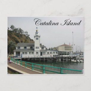 Catalina Island 3 Postcard