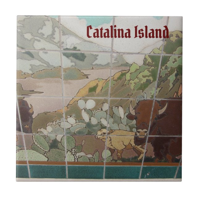 CATALINA ISLAND CERAMIC TILE CATALINA BUFFALO (Front)