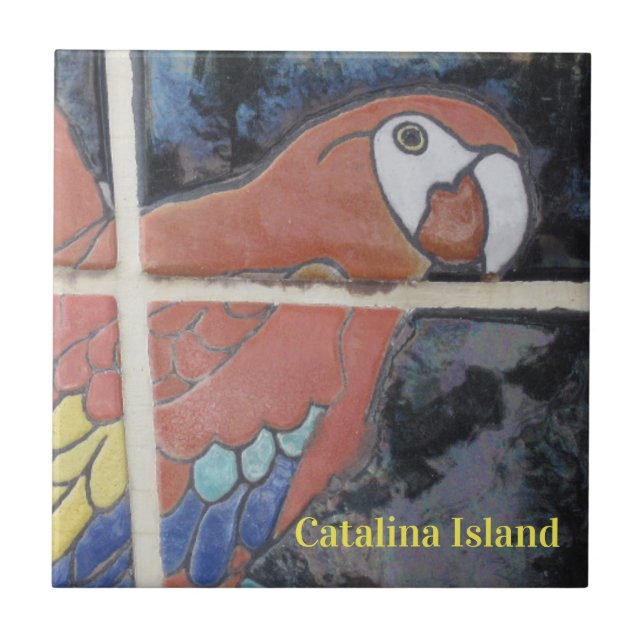 CATALINA ISLAND CERAMIC TILE THE EYE OF CATALINA (Front)