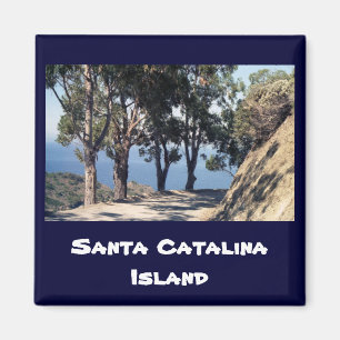 Catalina Island Magnet