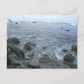Catalina Island shore Postcard