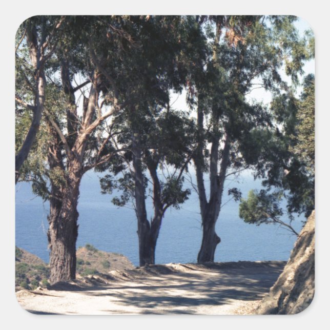 Catalina Island Square Sticker (Front)