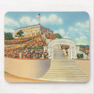 Catalina Mouse Mat