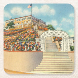 Catalina Square Paper Coaster