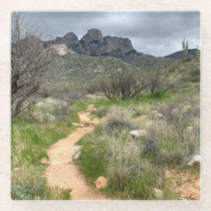 Catalina State Park Tucson Trails Glass Coaster