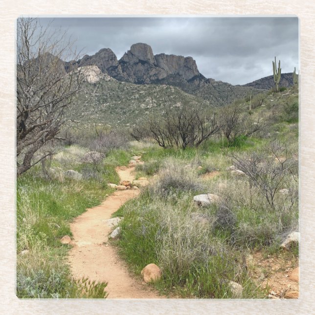 Catalina State Park Tucson Trails Glass Coaster (Front)