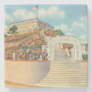 Catalina Stone Coaster