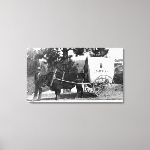 Catalo Grandview Ranch Cow Cart Canvas Print