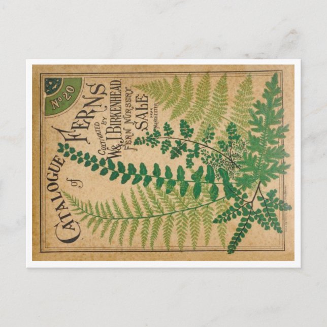 Catalogue of Ferns Postcard (Front)