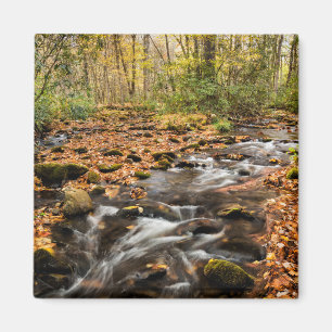 Cataloochee Creek NC Great Smoky Mountains Magnet