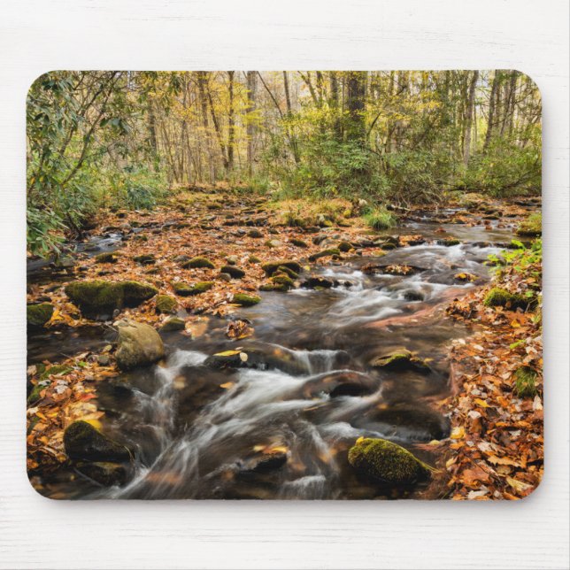 Cataloochee Creek NC Great Smoky Mountains Mouse Mat (Front)