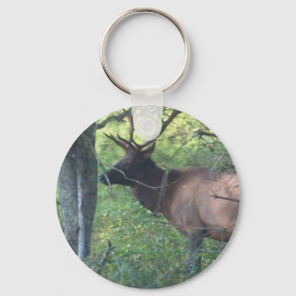 Cataloochee Elk Key Ring