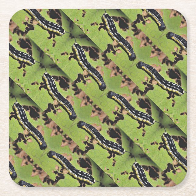 Catalpa Worms Camo Catfish Fishing Square Paper Coaster (Front)