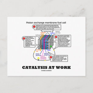 Catalysis At Work (Proton Exchange Membrane Fuel) Postcard