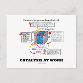 Catalysis At Work (Proton Exchange Membrane Fuel) Postcard