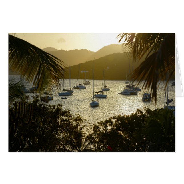 Catamarans and sailboats (Front Horizontal)