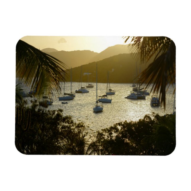 Catamarans and sailboats magnet (Horizontal)