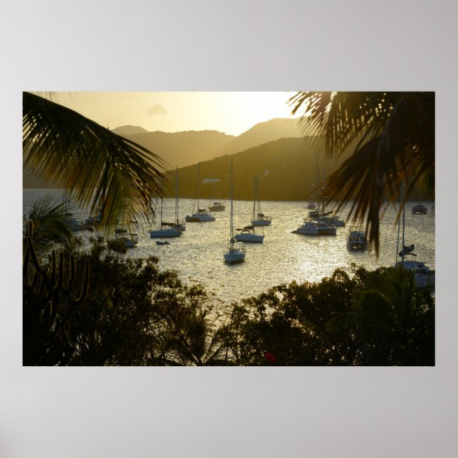 Catamarans and sailboats poster (Front)