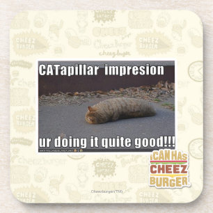 CATapillar Coaster