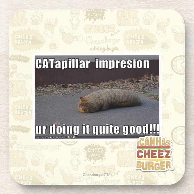 CATapillar Coaster (Front)