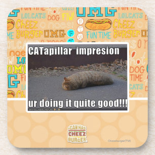 CATapillar Coaster