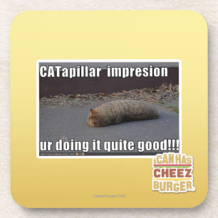 CATapillar Coaster