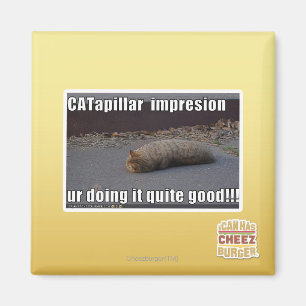 CATapillar Magnet