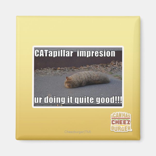CATapillar Magnet (Front)