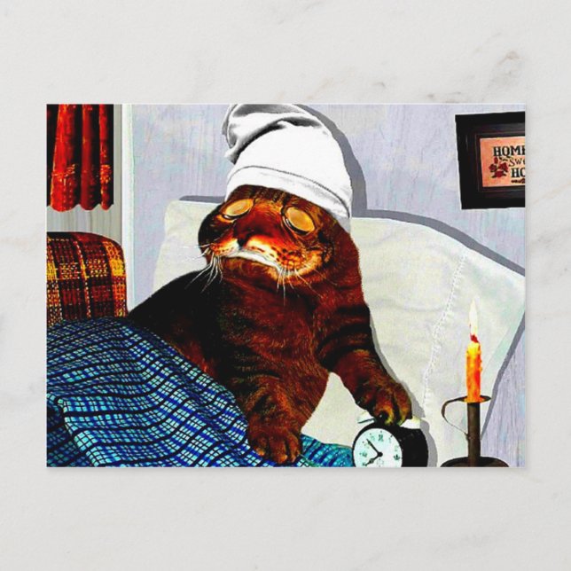 CATaTUDEs Postcard (Front)