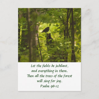 Catbird in the Forest Green Postcard