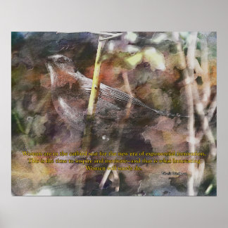 Catbird with Vivek Wadwha quote Poster