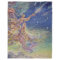 Catch a Falling Star Throw Blanket