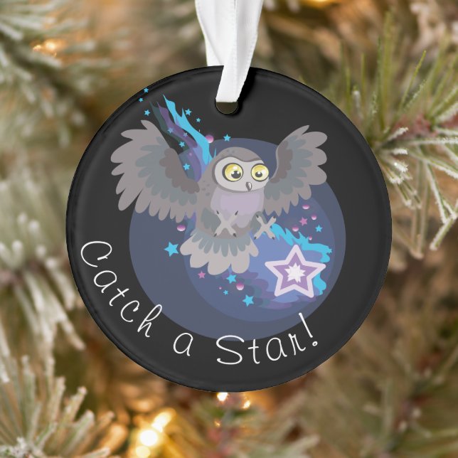 Catch a Star!~ owl Ornament (Tree)