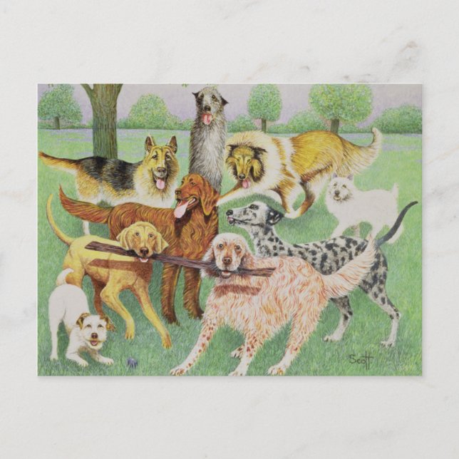 Catch and Carry Postcard (Front)