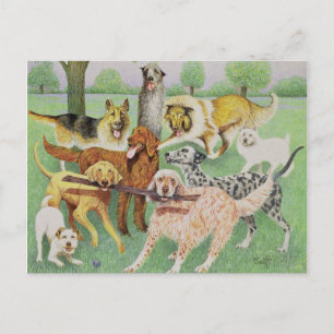 Catch and Carry Postcard