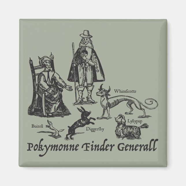 Catch hem all, 1647 magnet (Front)