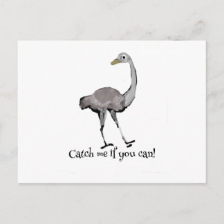 Catch me if you can postcard