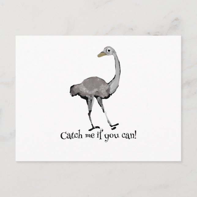 Catch me if you can postcard (Front)
