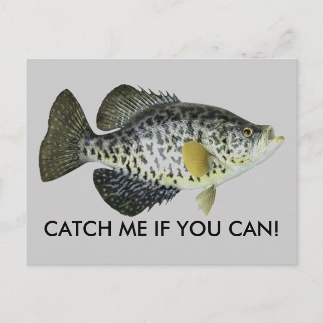 CATCH ME IF YOU CAN! POSTCARD (Front)