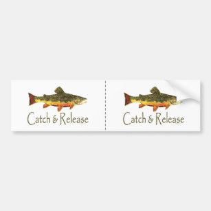 Catch & Release Trout Fishing Bumper Sticker