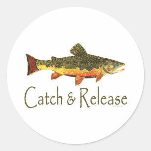 Catch & Release Trout Fishing Classic Round Sticker