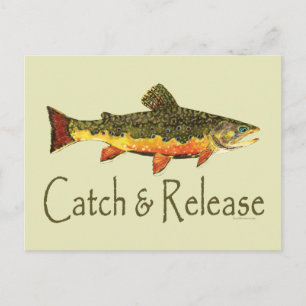 Catch & Release Trout Fishing Postcard