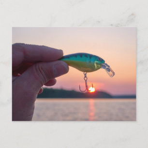 Catch the sunset postcard