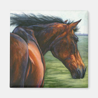 Catch The Wind - Bay Horse Magnet