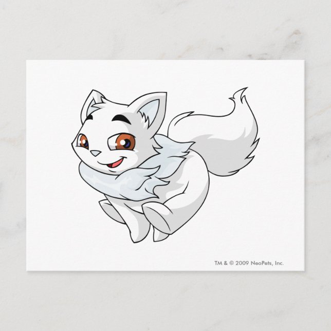 Catch this Wocky if you can! Postcard (Front)