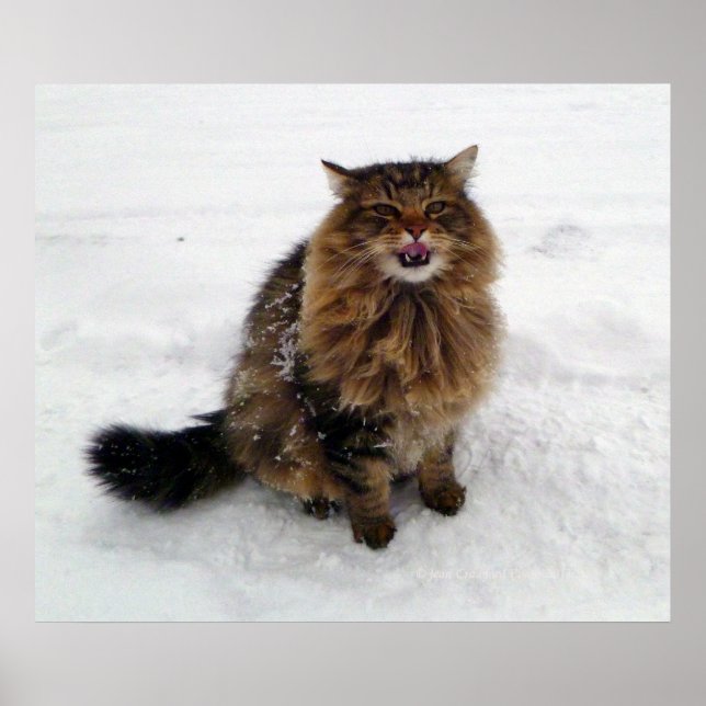 Catching a snowflake poster (Front)