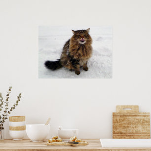 Catching a snowflake poster