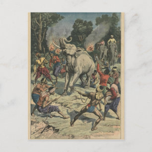 Catching a white elephant in Siam Postcard